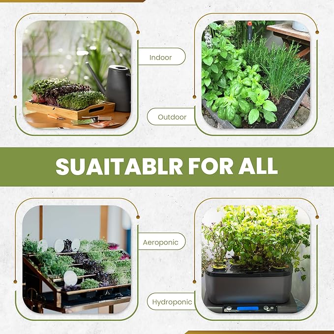 Herb Seeds 27 Varieties Liquidirt Heirloom Culinary and Medicinal - Over 12,000 Seeds - Non-Hybrid and No Chemicals and Non-GMO Survival Garden Seed Bank