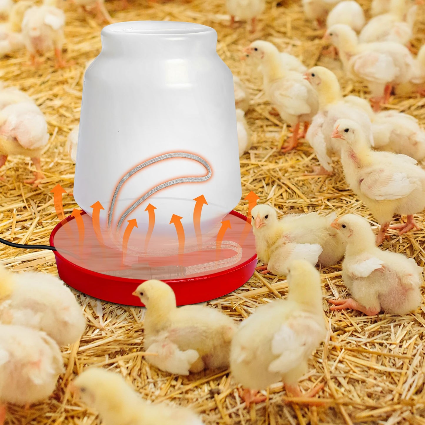 Saillong Chickens Water Heater Cord, Heated Chicken Waterer for Winter, Freeze Proof Heated Waterer for Poultry, Small Animals (Rabbits, Guinea Pigs, etc.), Prevent Water Freezing in Drinkers (1 Pack)