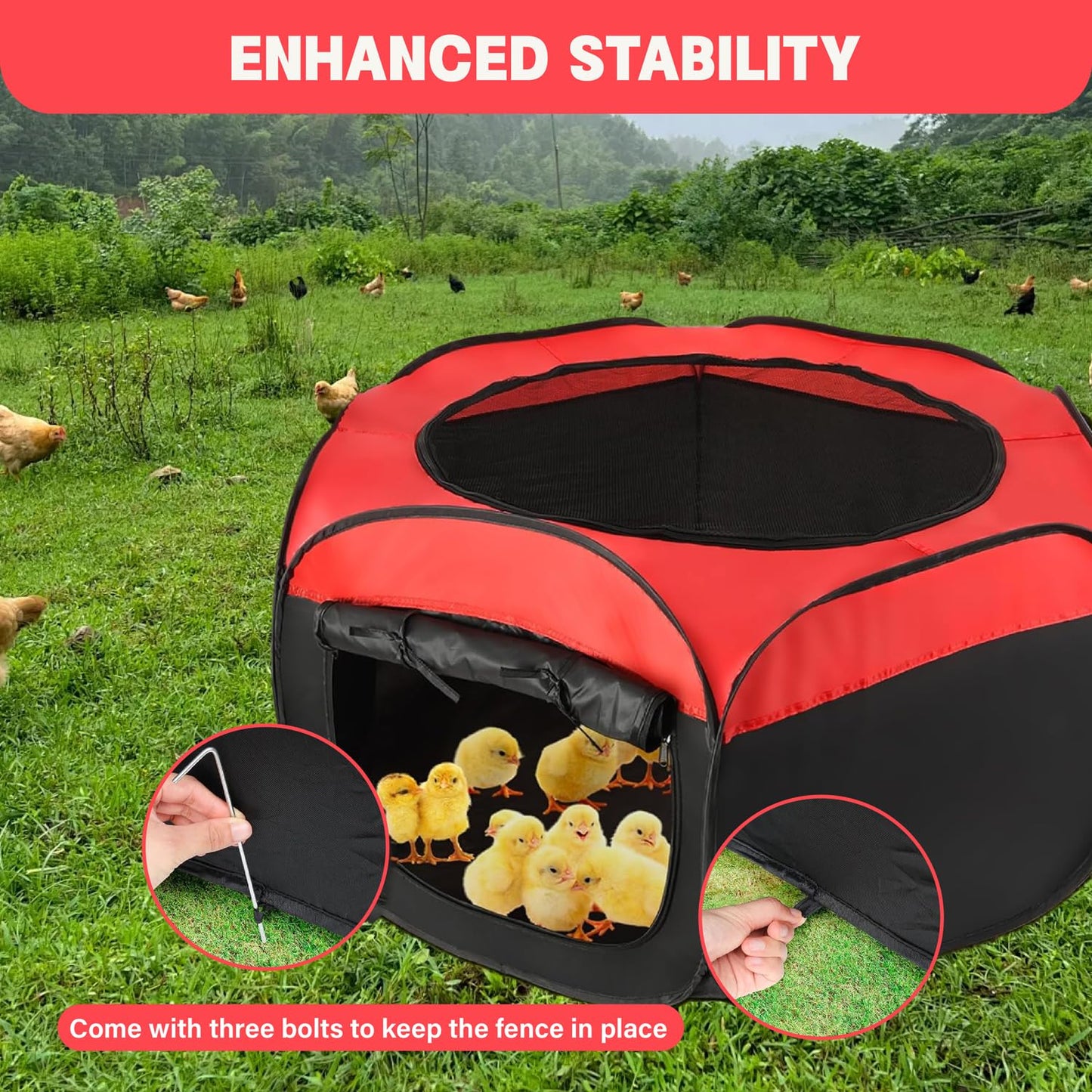 Chicken Brooder, Brooder Box for Chicks, Chick Starter Kit, Chick Brooder Kit, Pop Up Chicken Brooder, Double Door Chicken Coop/Baby Chicken Cage/Chicken Pen Up to 15 Baby Chicks, Duck and Quail