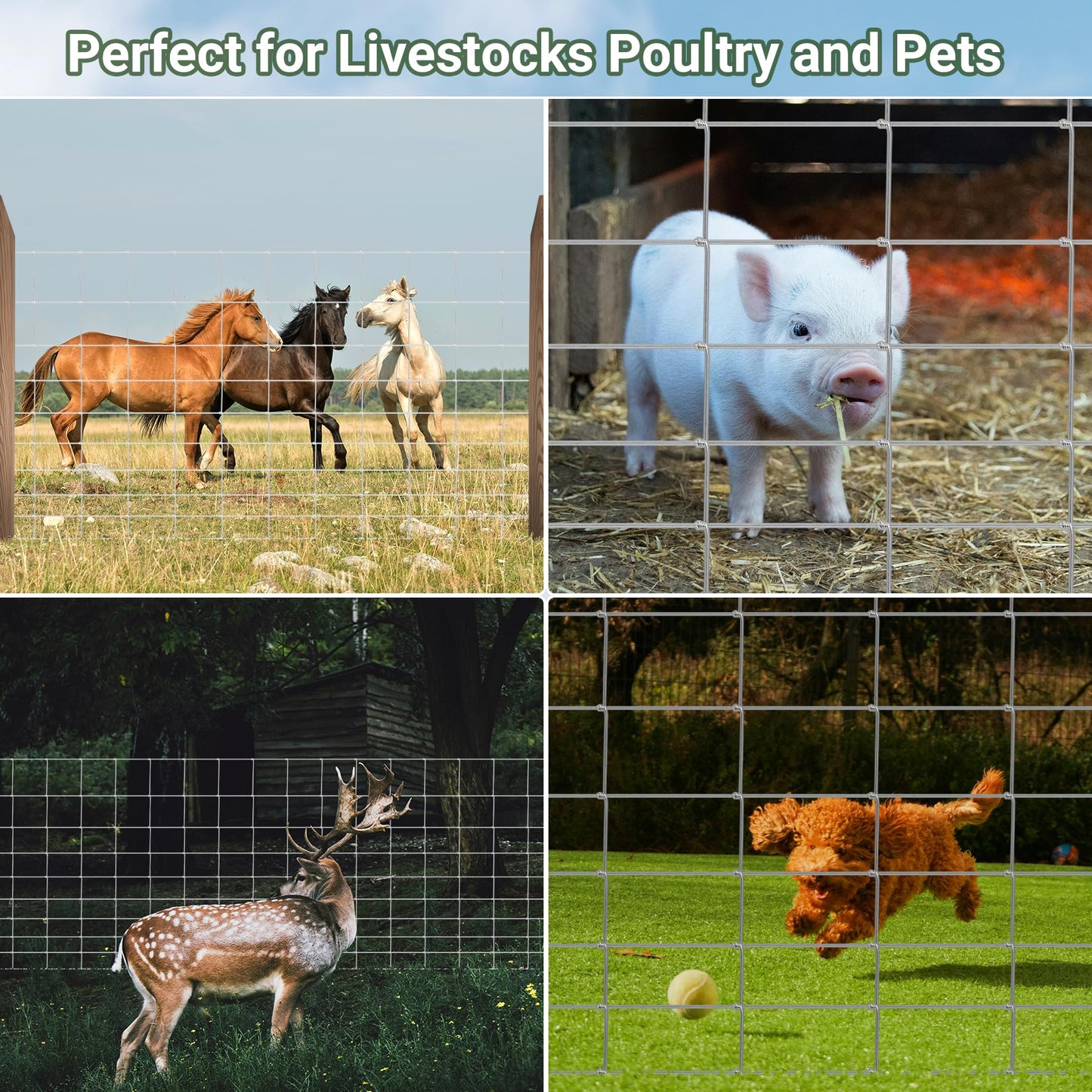 Toriexon Farm Fence 4FT x 164FT, Livestock Fence, Goat Fence, Galvanized Cattle Fence, Heavy Zinc Coating Wire Fencing, Hog Wire Fencing Perfect for Pest Control, Livestock & Animals Protection