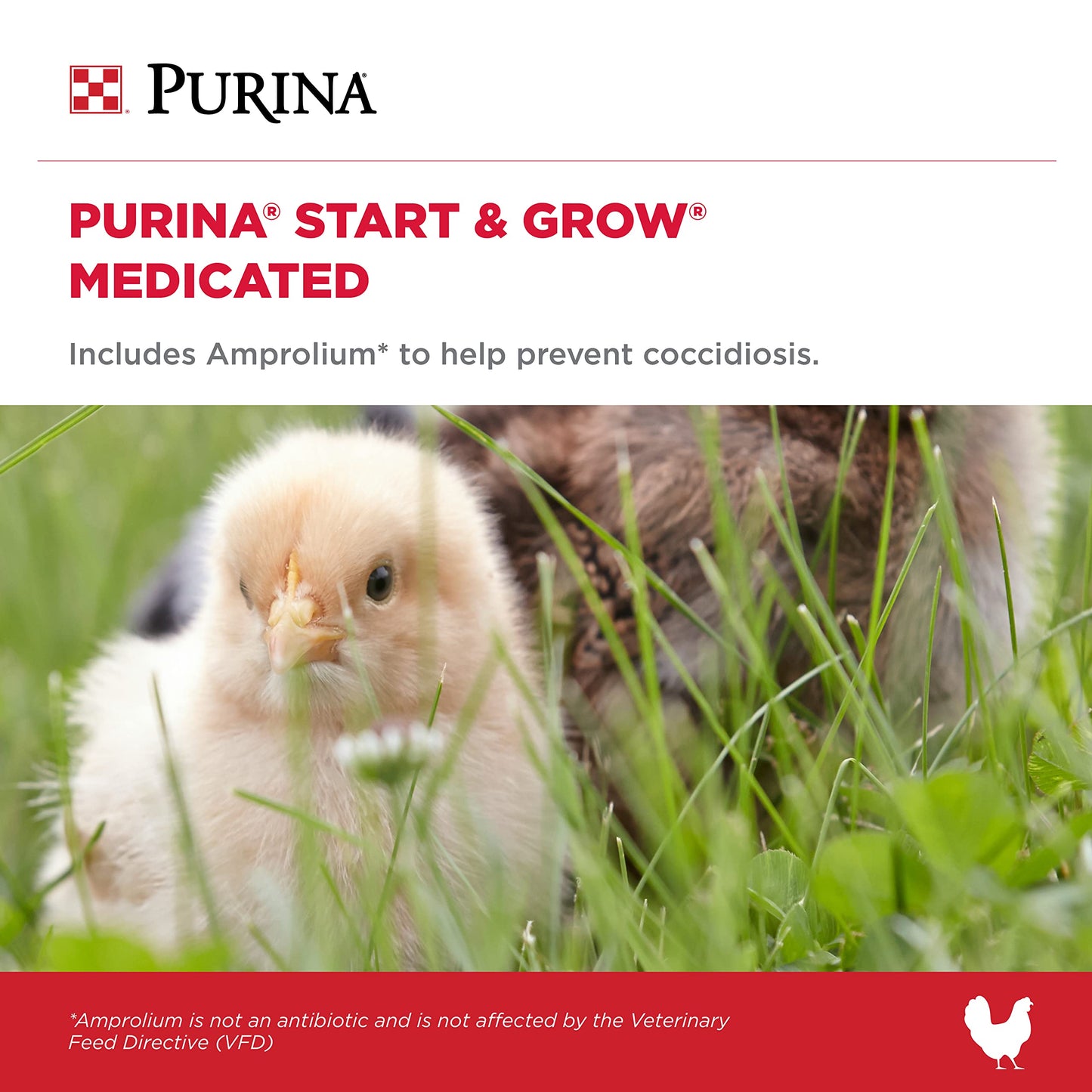 Purina Start & Grow | Nutritionally Complete Medicated Chick Feed Crumbles | 5 Pound (5 lb.) Bag