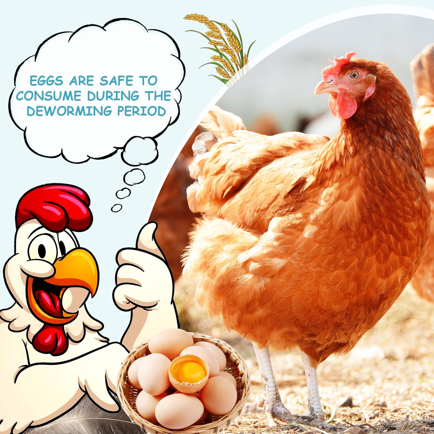 Chicken Dewormer - 120 Tablets All-Natural Formula, US-Made Chicken Dewormer Supplies For All Ages and Sizes to Relieve and Prevent Worms in Laying Hens, Chicks, Roosters, Turkeys, and Other Poultry