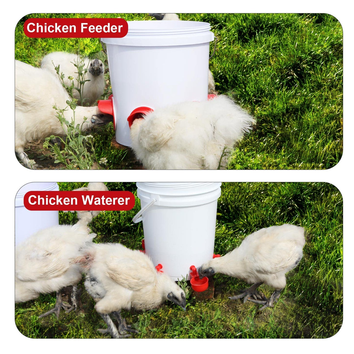 Gugull DIY Chicken Feeders No Waste, Automatic Chicken Feeders and Waterer Set, 6 pcs Poultry Feeder 6 Automatic Chicken Water Feeder, Rodent Proof Rain Proof Poultry Feeder Kit for