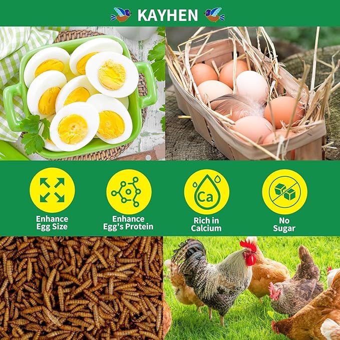 KAYHEN Dried Black Soldier Fly Larvae 10LB Non-GMO BSF Larvae for Chickens More Calcium Than Mealworms High-Protein Chickens Treats for Layer Hens Wild Birds Ducks