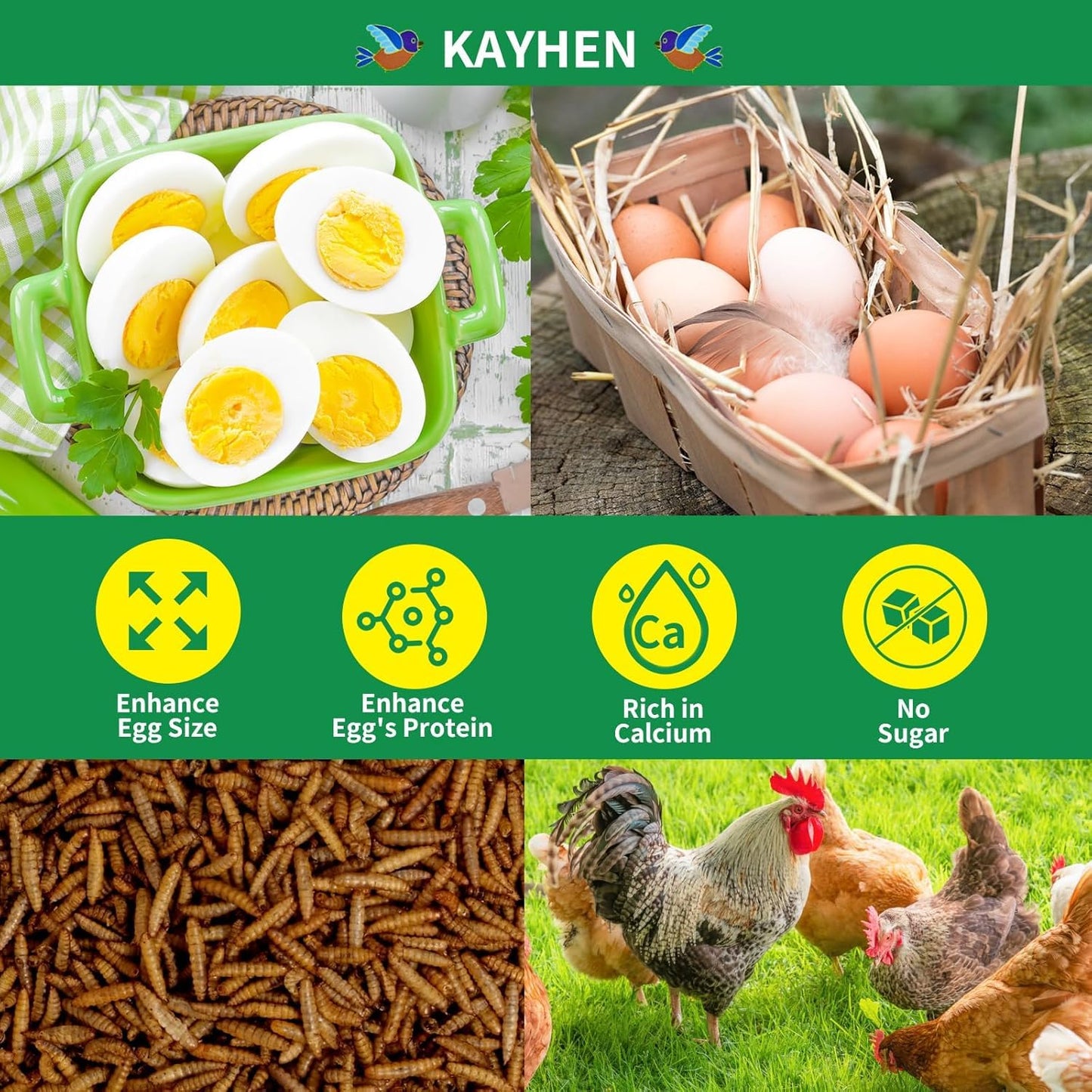 KAYHEN Dried Black Soldier Fly Larvae 10LB Non-GMO BSF Larvae for Chickens More Calcium Than Mealworms High-Protein Chickens Treats for Layer Hens Wild Birds Ducks