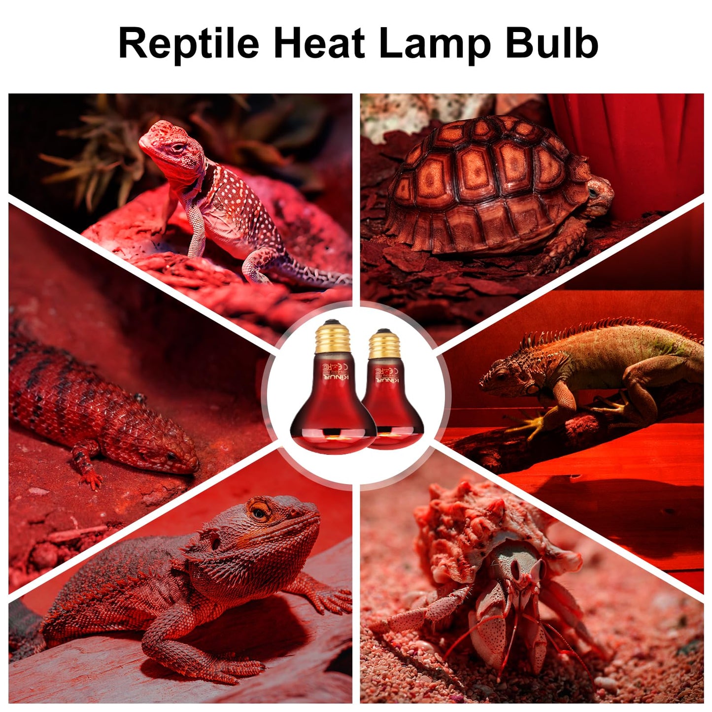 KINUR 75W Reptile Heat Lamp Bulb-Infrared Heat Emitter Red Heat Lamp for Reptile Amphibian, Infrared Basking Spot Light Bulb for Bearded Dragon,Turtle,Lizard,Snake,Gecko,Chick,Red,2 Pack