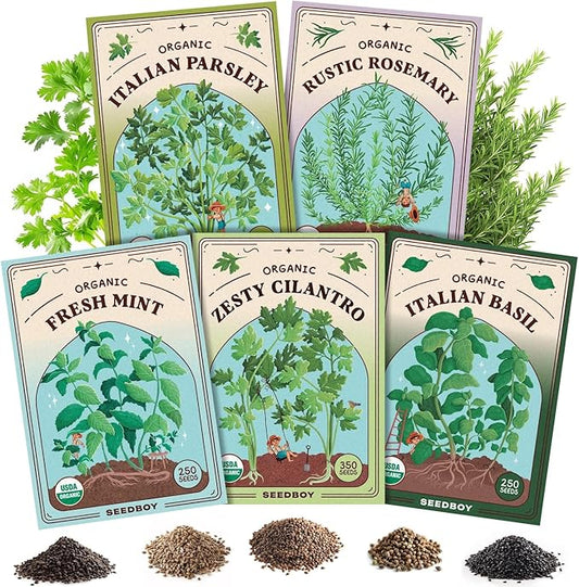 Seedboy Organic 5 Herb Variety Pack: Basil, Mint, Rosemary, Parsley, Cilantro for Planting Indoor and Outdoor, Non-GMO and USDA Certified Seed Packets (5 Herb Variety Pack)