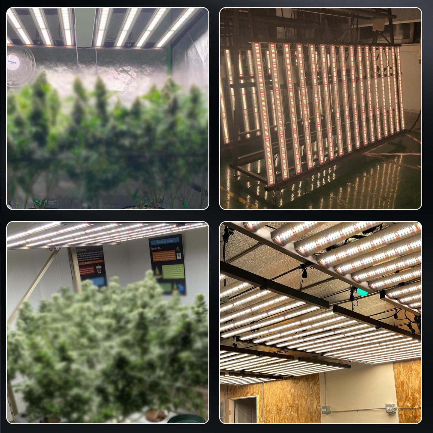 Phlizon FD4000 Plant Led Grow Light for 4x4ft 5x5ft Indoor Plants Coverage Daisy Chain Dimmable with UV IR Full Spectrum Growing Lamps