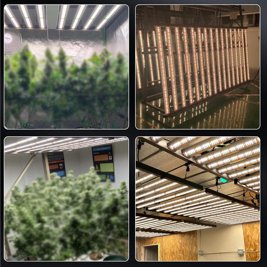 Phlizon FD4000 Plant Led Grow Light for 4x4ft 5x5ft Indoor Plants Coverage Daisy Chain Dimmable with UV IR Full Spectrum Growing Lamps