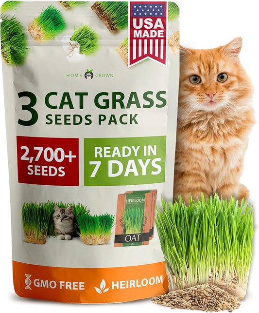 HOME GROWN 3 Cat Grass Seed Mix – Non-GMO Heirloom Oat, Alfalfa & Cat Grass Seeds | Indoor Pet Grass for Cats | High-Germination Greens for Hairball Control, Digestion, and Chewing Enrichment