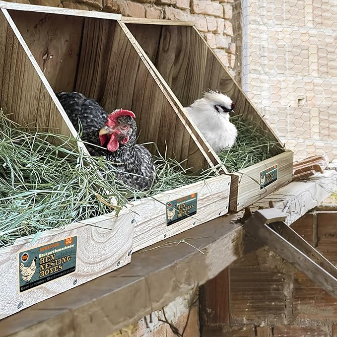 Single Compartment Hens Nesting Box, Chicken Coop Accessories, Wood Nesting Boxes for Up to 5 Hens, Big Duty Laying Nest Box for Duck and Poultry(1 Pack)