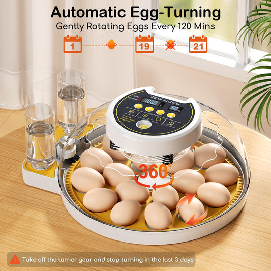 2025 Upgrade 18 Egg Incubator with Automatic Egg Turning and Humidity Control, Egg Incubators for Hatching Eggs Chicken Ducks Goose Quail Pigeon Turkey, Automatic Incubator for Home Classroom Lab Farm