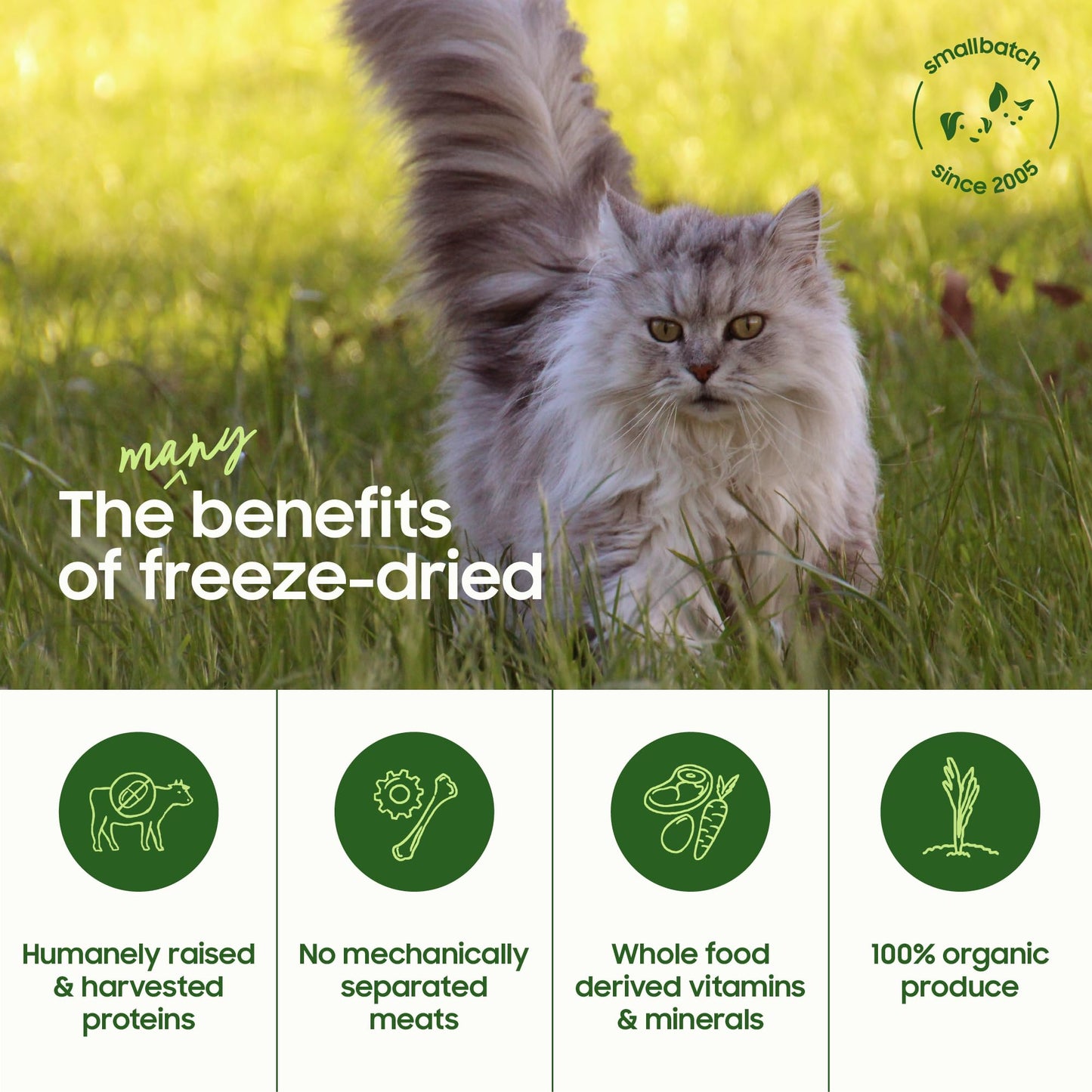 smallbatch Freeze-Dried Raw Cat Food, Shelf Stable Food Bites, Turkey Recipe, High Protein Meal or Topper for Cats, Humanely Raised Meat, Organic, Non-GMO Produce, Made in The USA, 10oz Bag