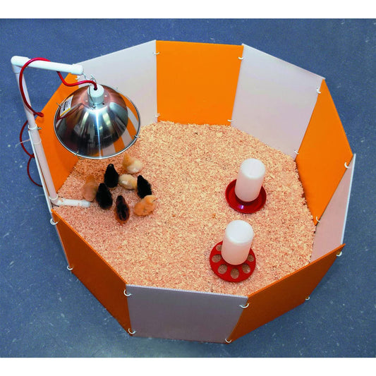 Farm Innovators 3700 Baby Chick Corral Starter Home Coop Kit with 10 Plastic Panels and Adjustable Brooder Lamp Hanger for Up To 15 Chicks
