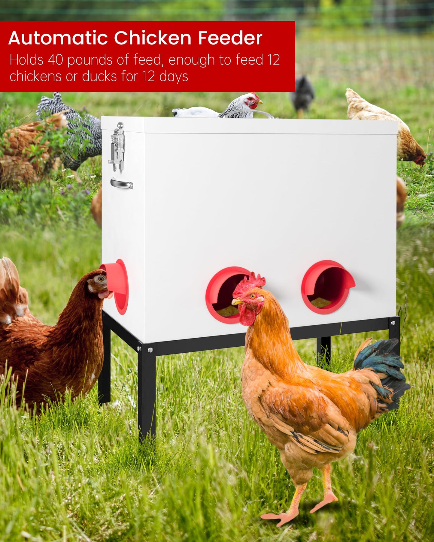 Pre-Installed Automatic Chicken Feeder, 40lb 6 Ports Rat Proof Chicken Feeder with Locking Lid and Legs, Galvanized No Waste Poultry Feeder for Hen Coop