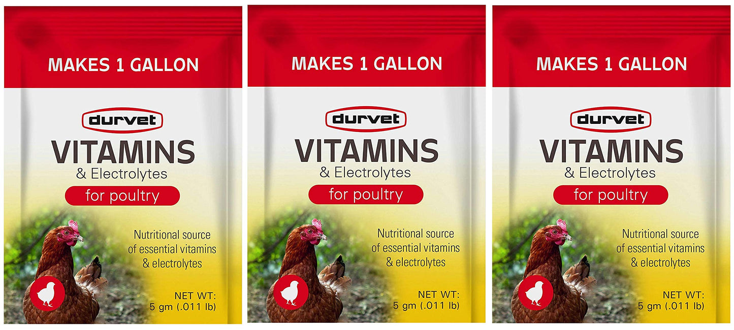 Durvet 3 Pack of Vitamins and Electrolytes for Poultry, 5 Grams, Makes 3 Gallons
