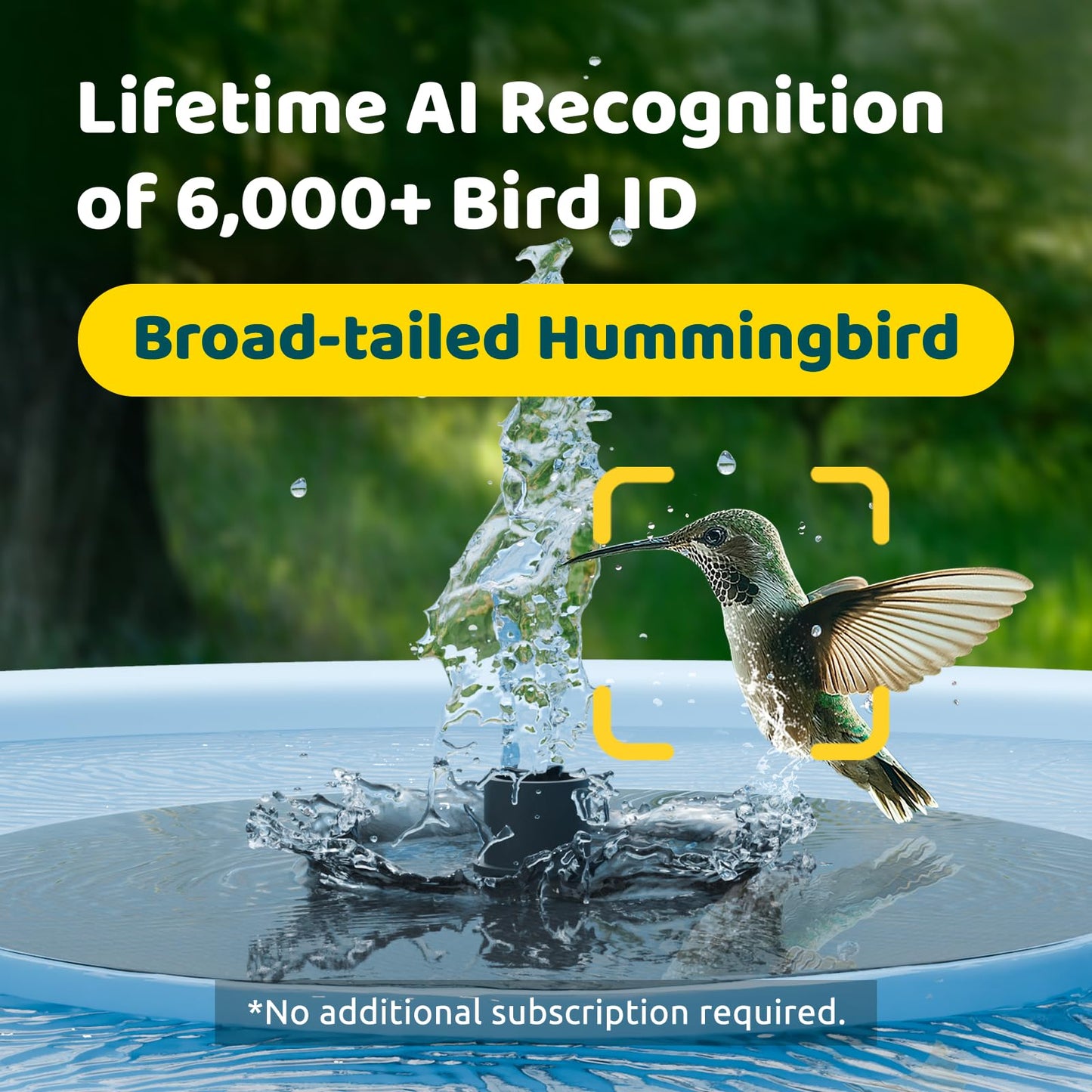 Birdfy Smart Bird Bath with Camera Solar Powered & Fountain & Stand, Dual-Lens Camera for Wildbird Watching, Auto Capture Bird Videos & Motion Detection (AI Lifetime)
