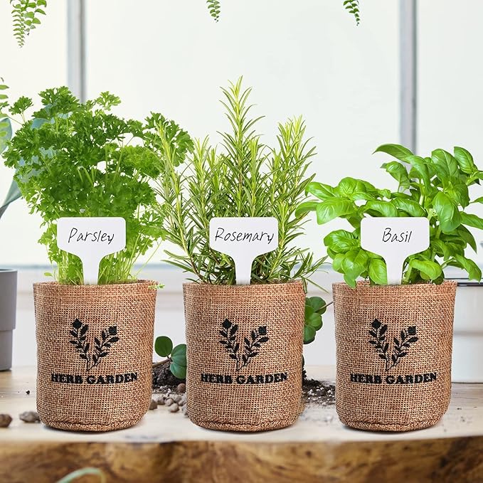Indoor Herb Garden Starter Kit, 5 Non-GMO Herb Seeds - Basil, Parsley, Rosemary, Thyme, and Mint with Complete Planting Set for Kitchen Herb Garden DIY