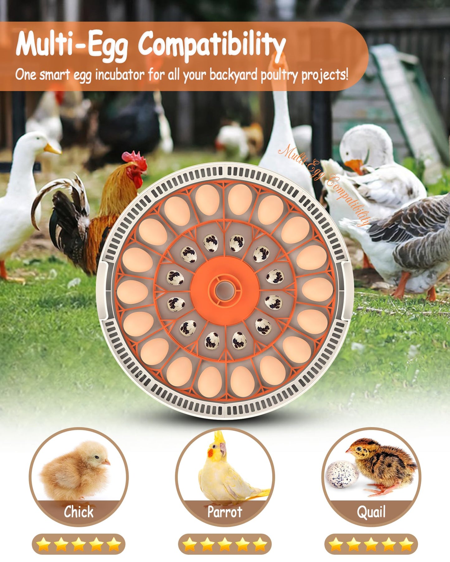 WONEGG 30 Egg Incubators for Hatching Eggs with Automatic Egg Turner, Auto Temperature Control, LED Candling, Humidity Monitor, 360° Viewing for Chicken Quail Parrot Birds
