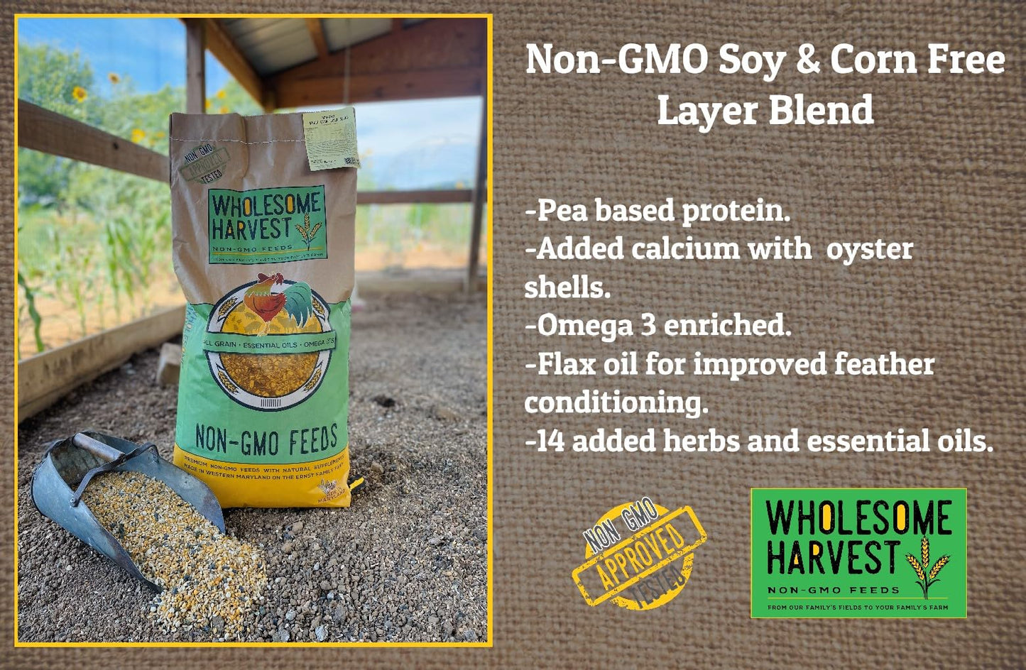 Wholesome Harvest Non-GMO Soy and Corn Free Whole Grain Layer Blend 16% - Chicken Feed for Laying Hens and Ducks - Includes Essential Oils, Herbs, Oyster Shells, Vital Minerals, and Omega 3, 10 lb