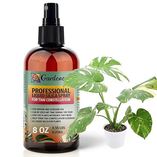 𝐒𝐔𝐏𝐄𝐑𝐈𝐎𝐑 Liquid Silica Boost Fertilizer and Supplement Spray for Thai Constellation Plants – Pre-Mixed, Ready-to-Use Liquid Silicon Plant Superfood Mist for Indoor & Outdoor Plants – 8oz