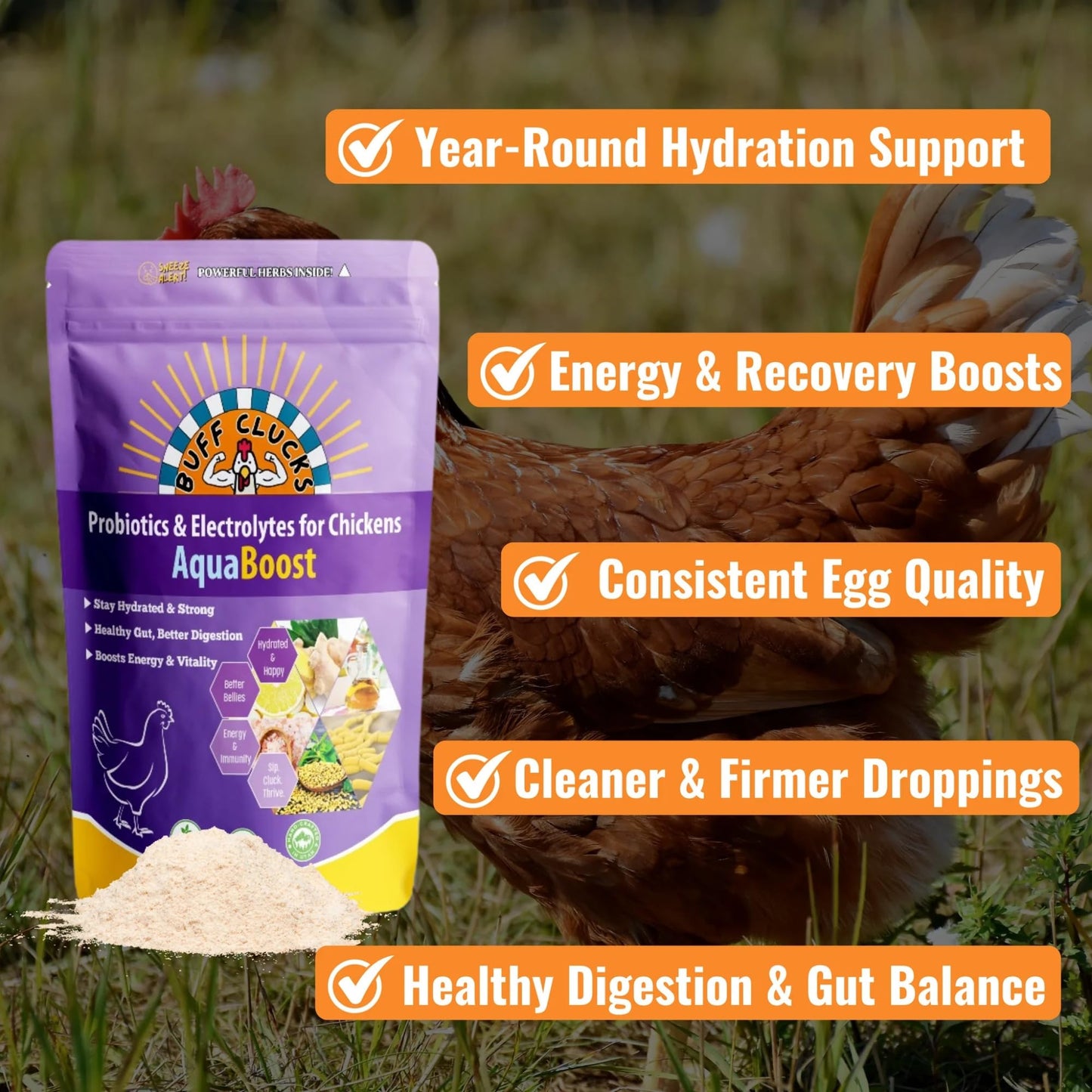 Buff Clucks AquaBoost Probiotic + Electrolyte Powder for Chickens – Natural Hydration & Gut Support Supplemnet for Daily Wellness & Egg Production - Safe for All Flocks & Ages - USA (8 oz)