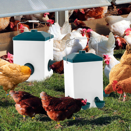 Loyala Automatic Chicken Feeder and Waterer Set 3 Gallon/25 Pounds No Waste Poultry Feeder Rain Proof Large Chicken Feeders Chicken Coop Accessories (Green)