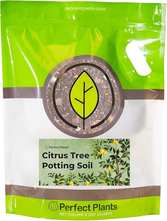 Citrus Tree Potting Soil by Perfect Plants | Organic Premium Mix | Use with Lemon Trees, Lime Trees, or Other Citrus Plants (8qt)