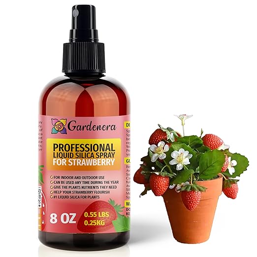 𝐒𝐔𝐏𝐄𝐑𝐈𝐎𝐑 Liquid Silica Boost Fertilizer and Supplement Spray for Strawberry Plants – Pre-Mixed, Ready-to-Use Liquid Silicon Plant Superfood Mist for Indoor & Outdoor Plants – 8oz