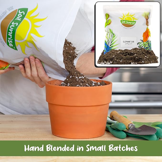 Elephant Ear Potting Soil Mix (8 Quarts), Colocasia and Alocasia Potted Plant Blend