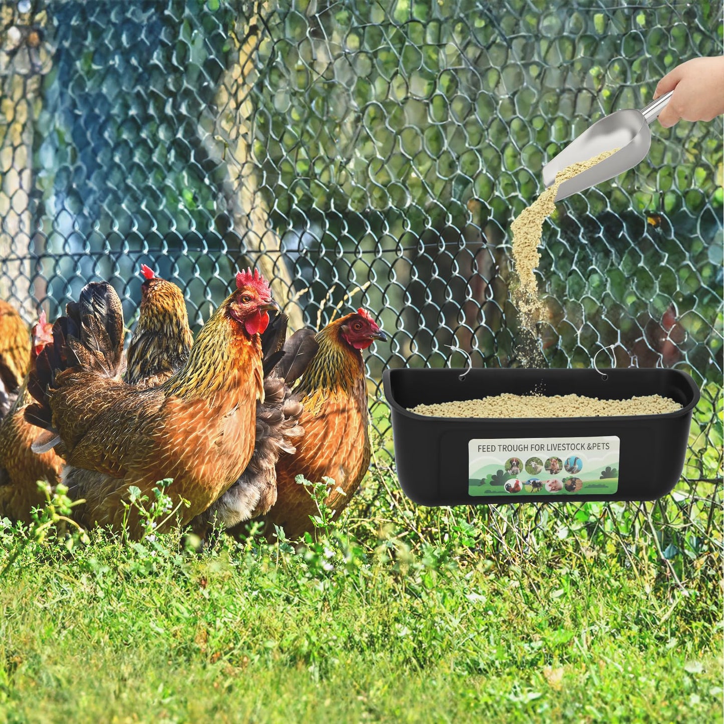 6 Pack Fence Feed Feeder 4.5 Quart Hanging Chicken Feeder Trough with Brush & Scoop Black Goat Hanging Fence Feeders Feeder with Hooks Screws & Zip Tie for Livestock Feeding Container Goats Supplies