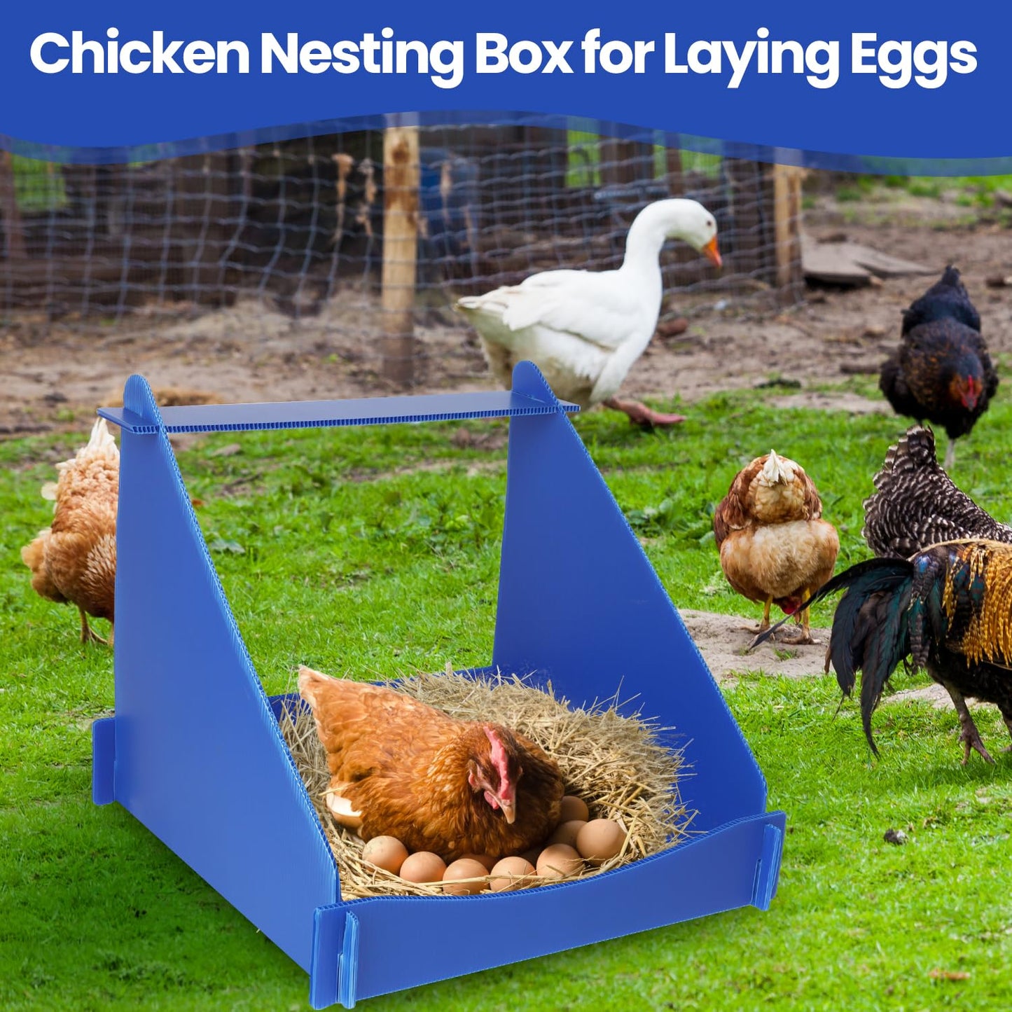 Ayuanb 4 Pack Nesting Boxes for Chickens, Chicken Nesting Box for Laying Eggs, Durable Chicken Laying Nest Box for Hens, Ducks and Poultry