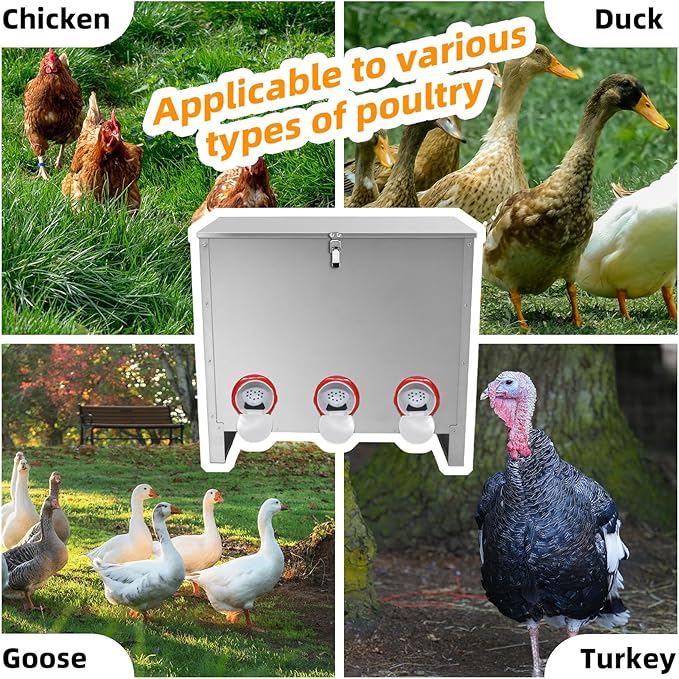 Automatic Poultry Chicken Feeder No Waste Metal Large Capacity 88 lbs Feeders for Chickens Ducks, Geese Bantams Pheasants Coop Weatherproof (8-Port)