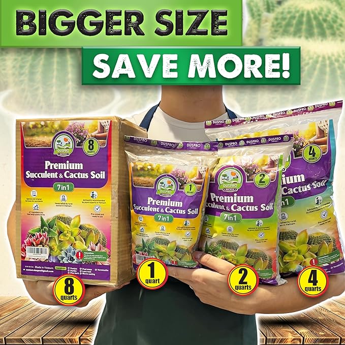 DUSPRO Succulents Soil Potting Mix – 7 in 1 Ingredients Well-Draining, Nutrient-Rich Cactus Potting Soil for Succulents and Cacti, Indoor & Outdoor Use, Ready to Use, Supports Healthy Root Growth, 2QT