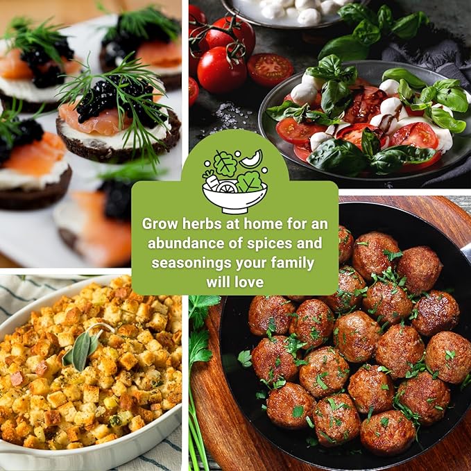 Sow Right Seeds - 15 Herb Garden Seed Collection for Planting - Essential Herbs for Cooking - Non-GMO Heirloom Packet Instructions to Grow Kitchen Garden Indoors or Outdoors - Great for Hydroponics