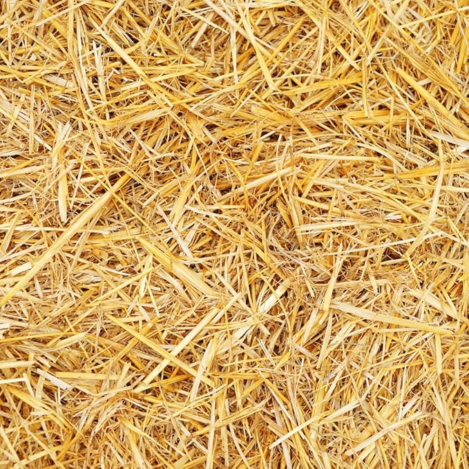 100% Natural Wheat Straw for Animal Bedding, Garden Mulch, Compost & Fertilizer, and Grass Cover (4 Pounds)