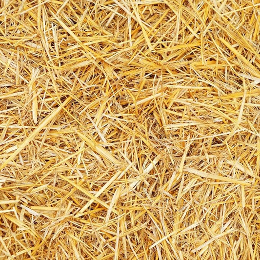 100% Natural Wheat Straw for Animal Bedding, Garden Mulch, Compost & Fertilizer, and Grass Cover (4 Pounds)
