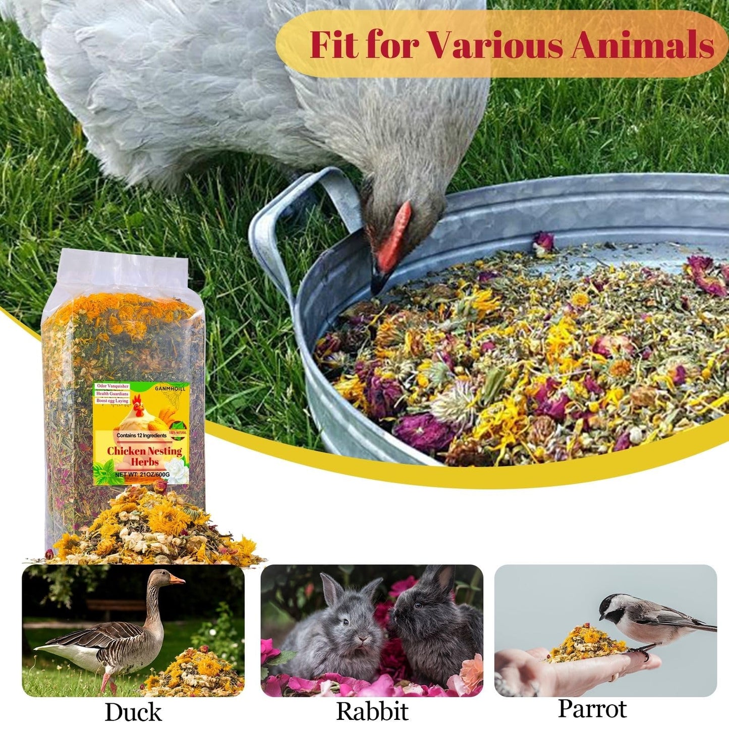 21 oz Chicken Nesting Herbs Flowers - 1.3lb Poultry Blend Herbs 12 Premium Nesting Box Herbs for Chicken Coop Refresher Boost Egg Laying Hens Herb Supplement for Backyard