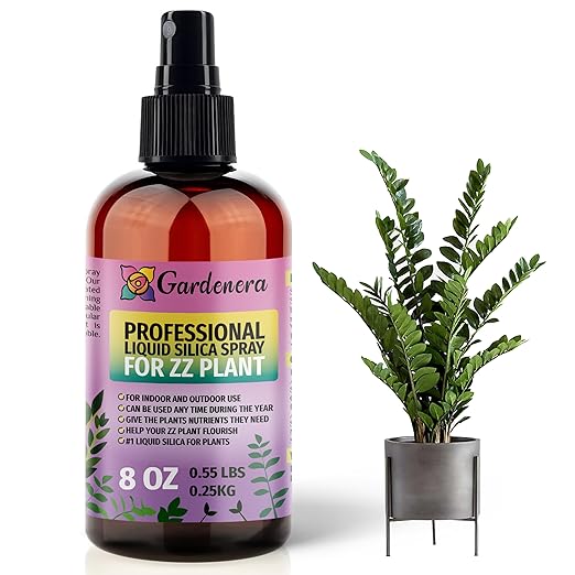 𝐒𝐔𝐏𝐄𝐑𝐈𝐎𝐑 Liquid Silica Boost Fertilizer and Supplement Spray for ZZ Plants – Pre-Mixed, Ready-to-Use Liquid Silicon Plant Superfood Mist for Indoor & Outdoor Plants – 8oz