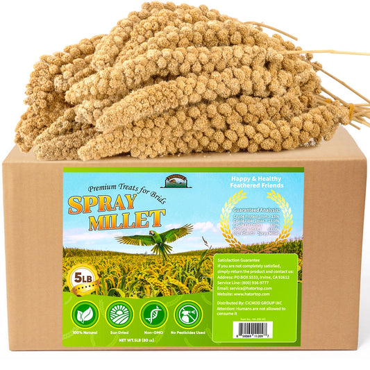HATORTOP Spray Millet for Birds 5LB - All Natural Sun-Dried Healthy Treat, Millet Spray for Parakeets, Parrots, Lovebirds, Cockatiels Food, 100% Non-GMO High Protein Fresh Bird Seed