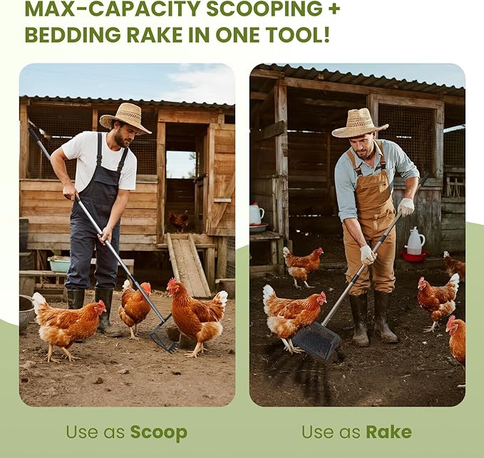 Chicken Poop Scooper for Sand, 75.2" Extra Long Chicken Coop Rake, Stainless Steel Handle Adjustable Coop Accessories 2-in-1 with 10" Large Metal Shovel Head for Poultry Dog Cat Litter