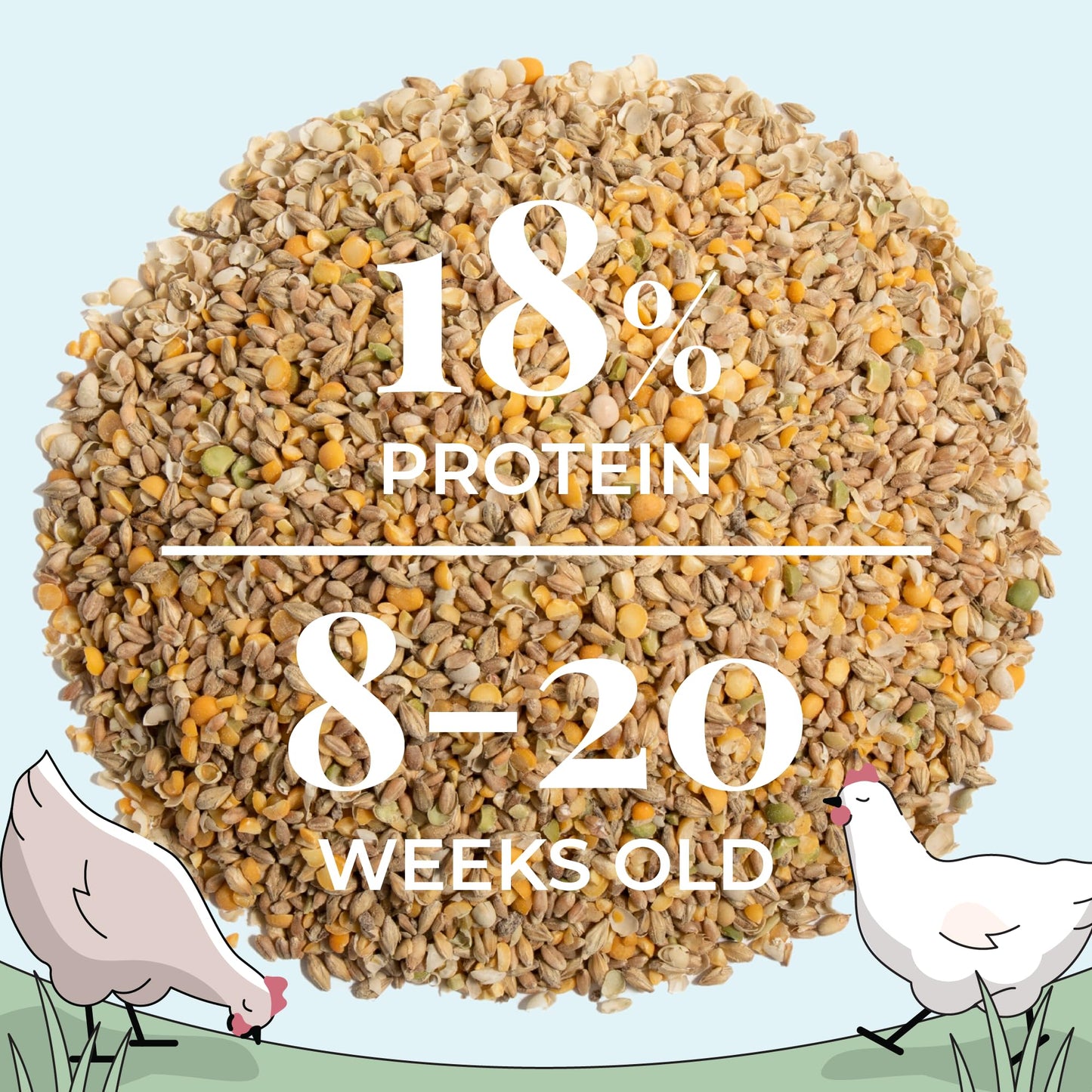 Mile Four Organic Chicken Feed – Grower Whole Grain, Non-GMO, USA Grown, 18% Protein, Corn-Free, Soy-Free, Non-Medicated Feed for Chickens, 2 lb Sample