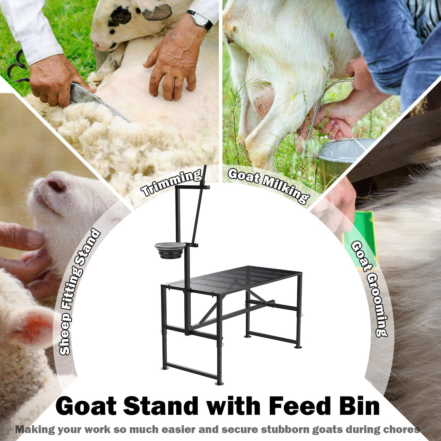Larrik Goat Milking Stand with Feed Bin, Stand for Goat Milk and Shepp Trimming Hooves, with Adjustable Head Piece and Legs, Metal Black Use for Small Goat and Sheep, 400 Lbs