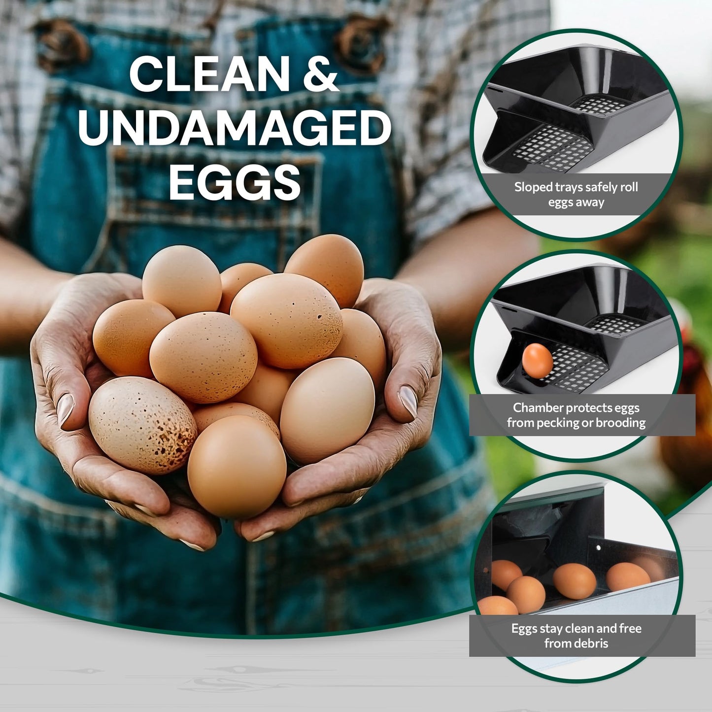 Homestead Essentials Deluxe Metal 4 Compartment, Forward Rollout & Rollaway, Hen & Chicken Nesting Box with Universal Easy Access Protective Egg Laying Collection Lid