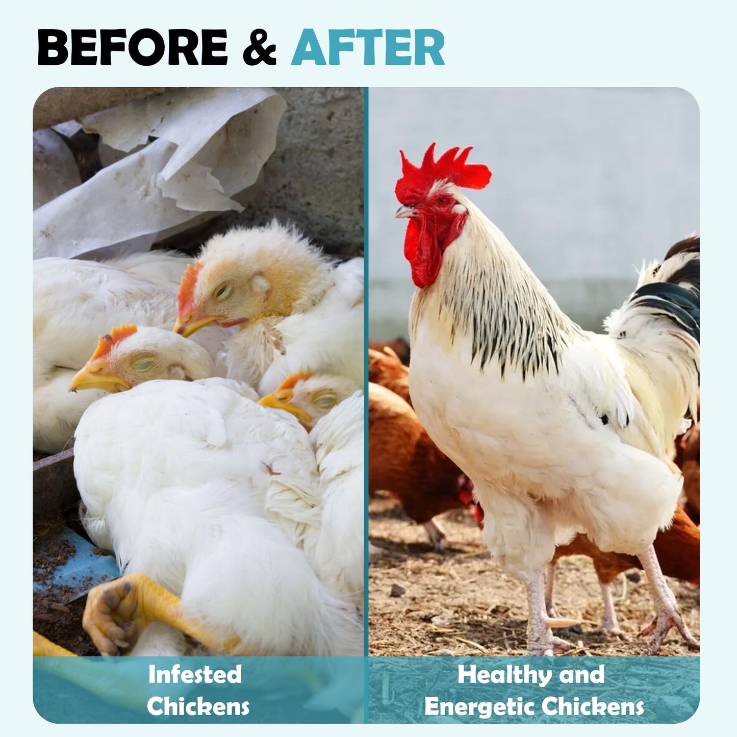 Chicken Dewormer - 120 Tablets All-Natural Formula, US-Made Chicken Dewormer Supplies For All Ages and Sizes to Relieve and Prevent Worms in Laying Hens, Chicks, Roosters, Turkeys, and Other Poultry