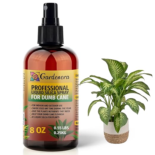 𝐒𝐔𝐏𝐄𝐑𝐈𝐎𝐑 Liquid Silica Boost Fertilizer and Supplement Mist for Dumb Cane Plants – Pre-Mixed, Ready-to-Use Liquid Silicon Plant Superfood Spray for Indoor & Outdoor Plants – 8oz