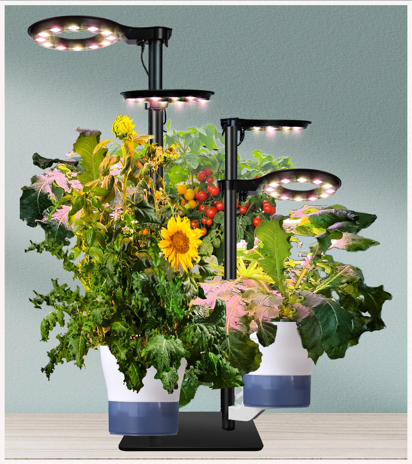 E SUPEREGROW HYDROPONICS Growing System KIT Set