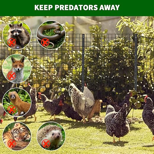 Hardware Cloth 1/2 inch 48 x 100 ft 19 Gauge Chicken Wire Fence Galvanized Steel Mesh Rolled Fencing for Garden Supports Poultry Netting Cage Snake Fence Tree Guard, Black