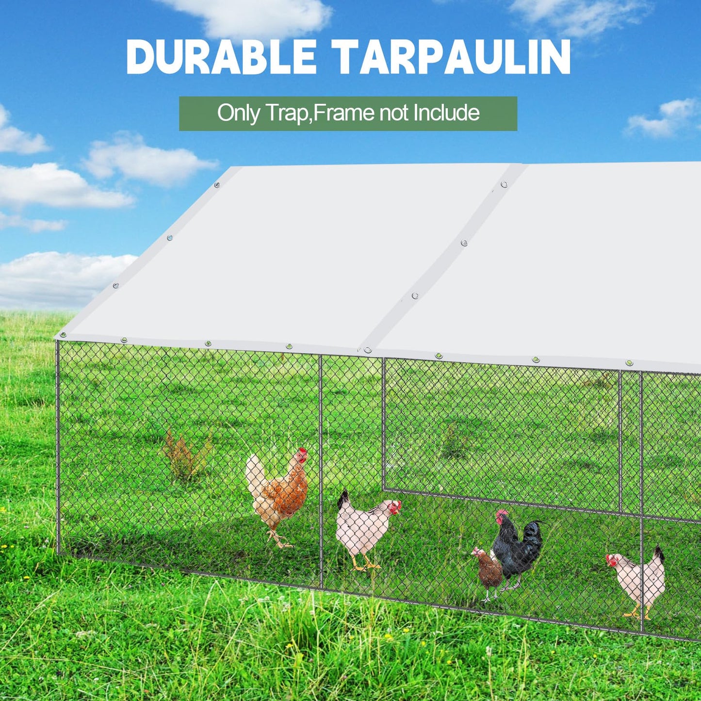 VitalCozy 2 Pcs Chicken Coop Cover Waterproof 11.5 x 6.6 ft Chicken Run Cover Coop Tarp Accessories for Winter with 50 Pcs Ball Bungees Cords for Outdoor (White)