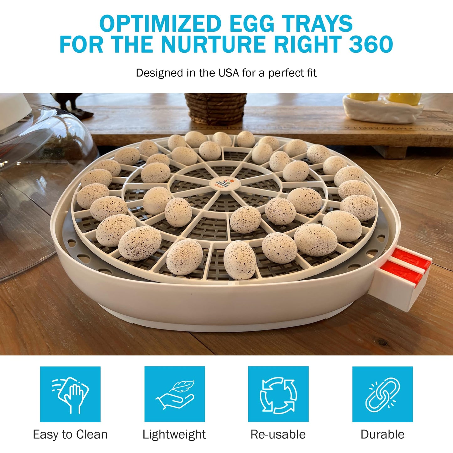 Incubator Warehouse Egg Trays for 48 Small (Quail/Bird) Eggs - Durable Egg Tray for Nurture Right 360 Egg Incubator - Hand Washable Eggs Keeper for Chicken Goose Turkey Emu (Various Sizes)